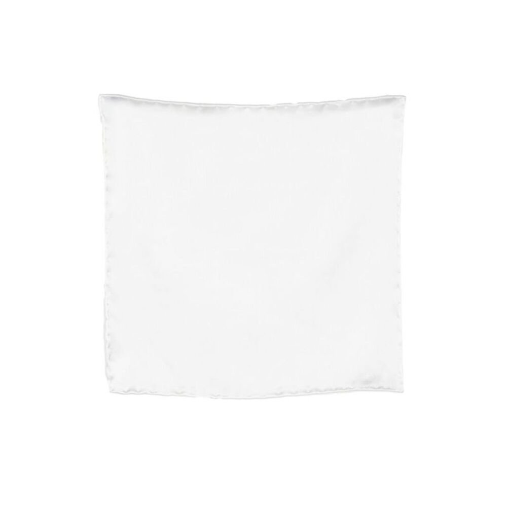 Brioni Men Scarves